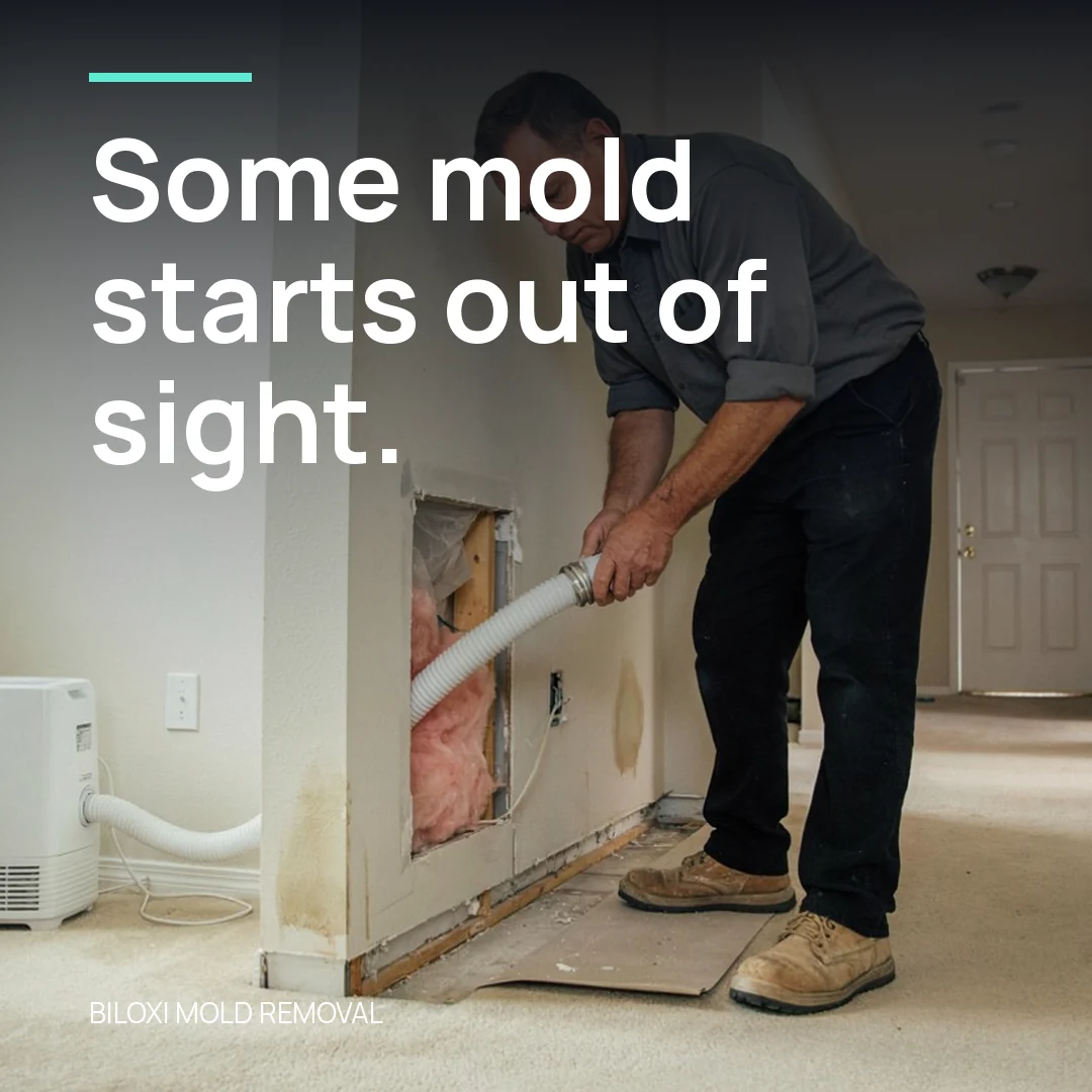 Some mold starts out of sight.