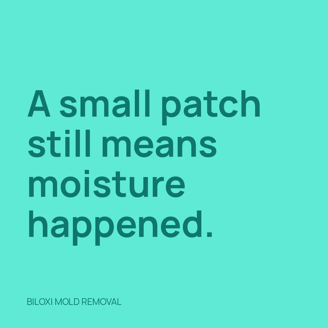 A small patch still means moisture happened.
